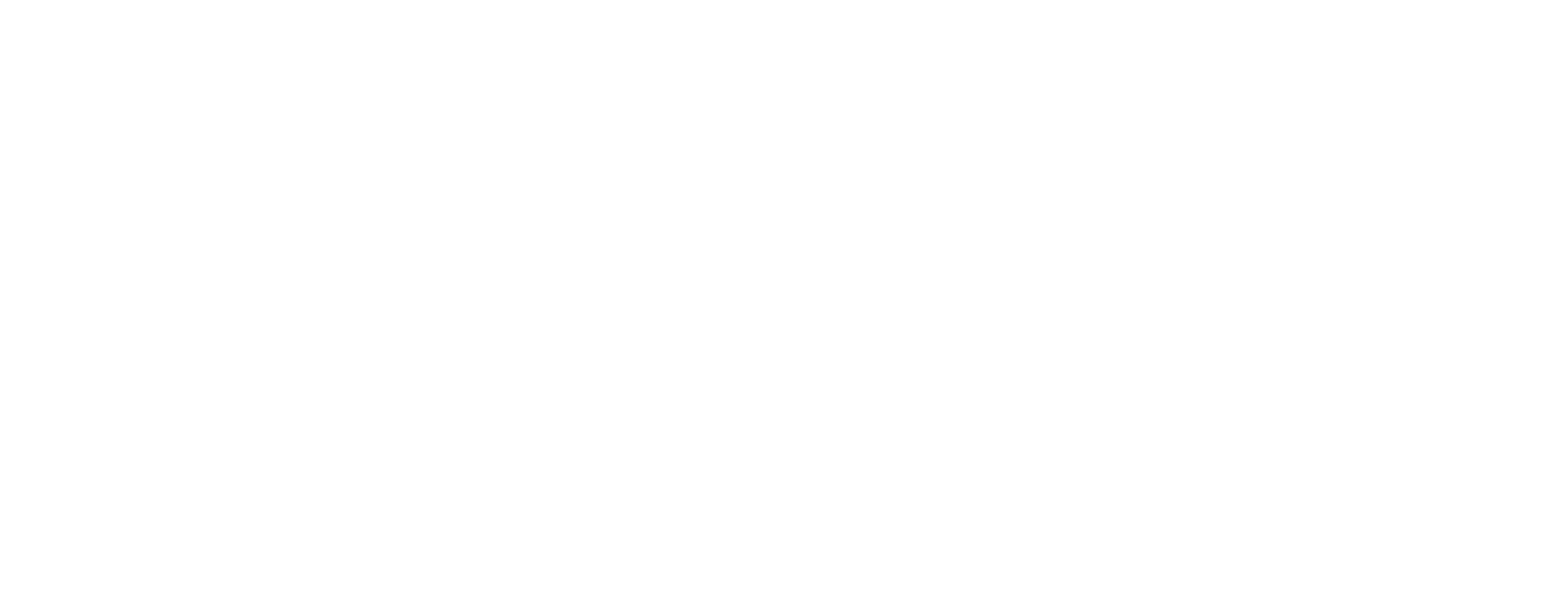 Velvet Logo
